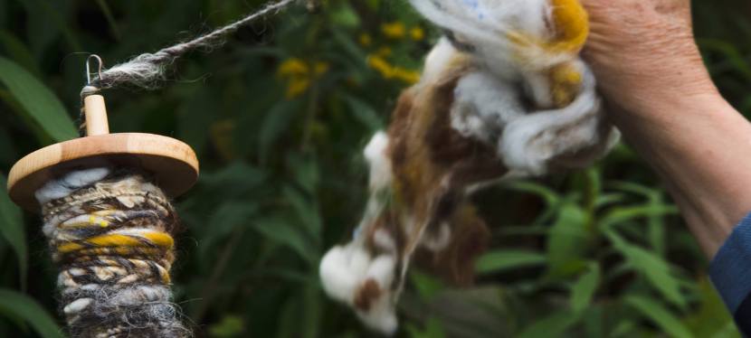 Tawe Guild of Weavers, Spinners &&nbsp;Dyers