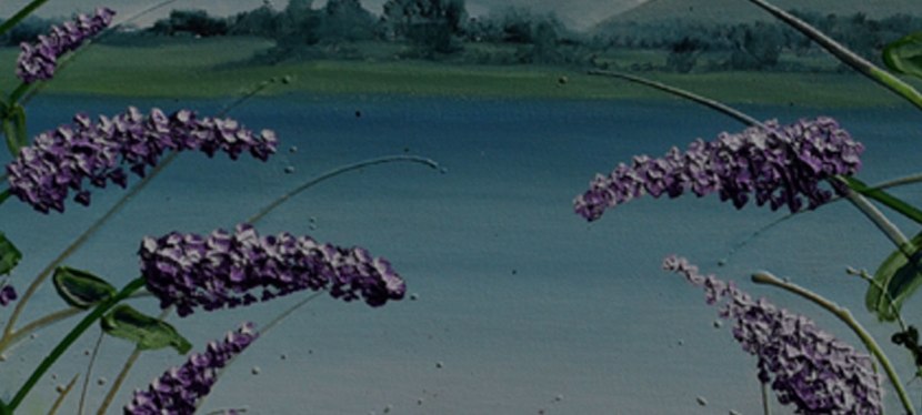 ‘Four Seasons’ Exhibition by Amanda&nbsp;Dagg